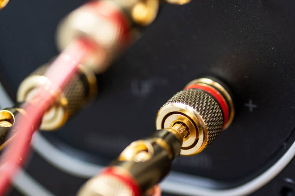 Â Open screw banana plugs